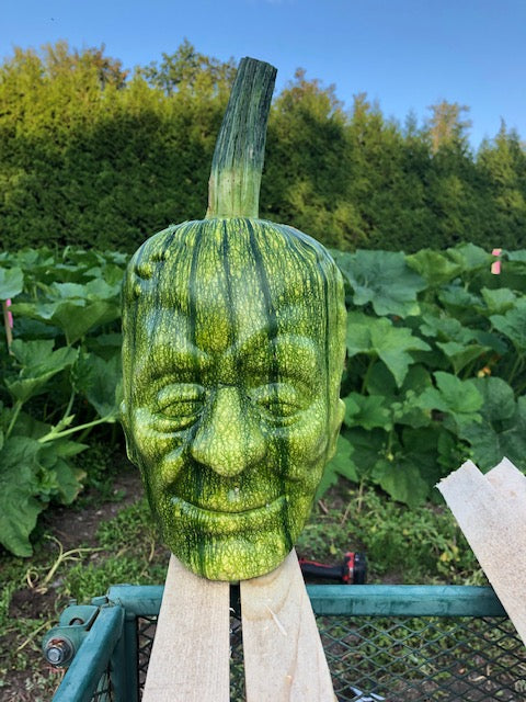 Frankenstein Pumpkin Mould (Large)