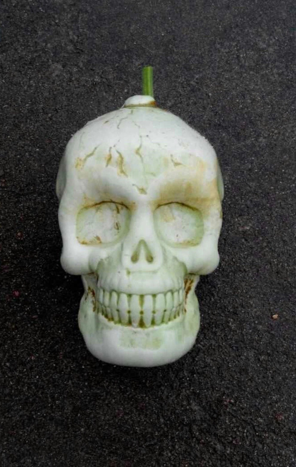SKULL PUMPKIN MOLD